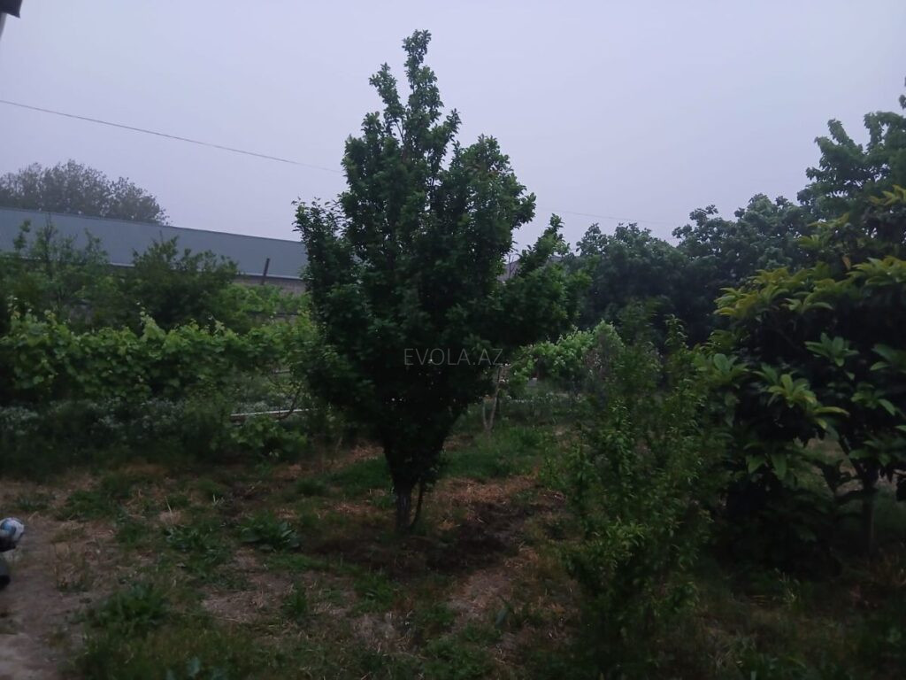 Satılır torpaq 7 sot, Xəzər r., Qala q., Koroğlu m. qalereya şəkli 1